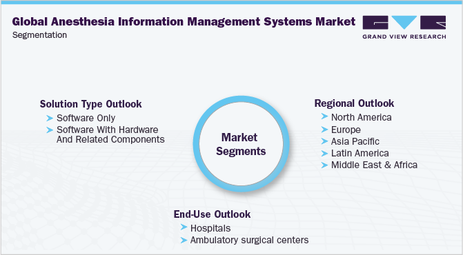 全球麻醉信息管理系统市场细分