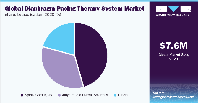 2020年全球隔膜起搏治疗系统市场份额(%)