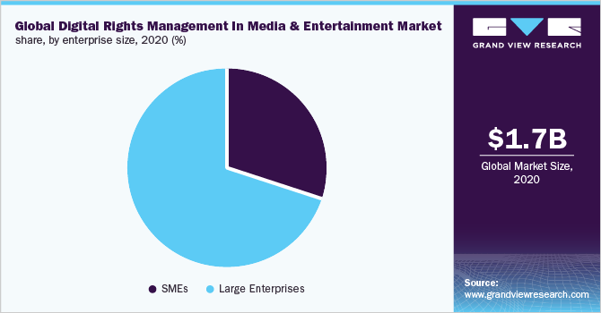 2020年全球媒体和娱乐数字版权管理市场份额，各企业规模(%)