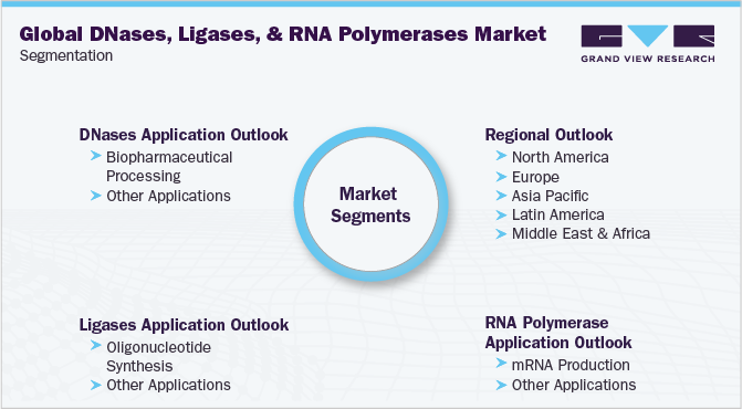 全球dna酶，连接酶和RNA聚合酶市场细分