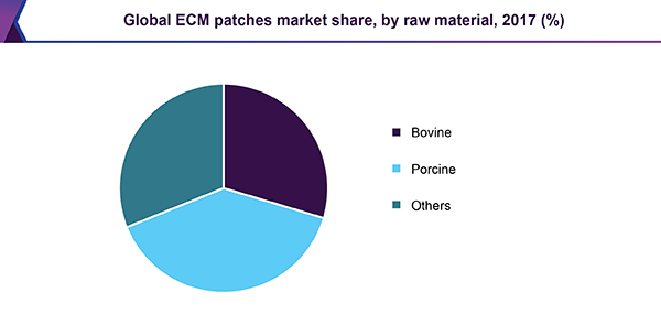全球ECM补丁市场