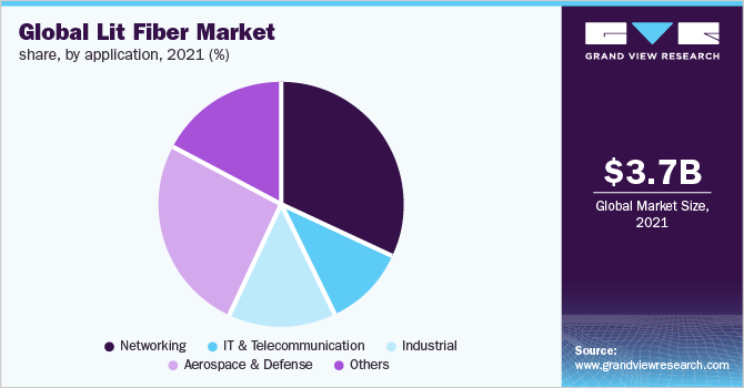 全球照明纤维市场份额，各应用，2021年(%)