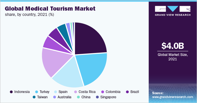 全球医疗旅游市场份额，按国家分列，2021年(%)