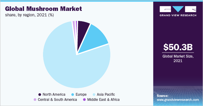 全球蘑菇市场份额，各地区，2021年(%)