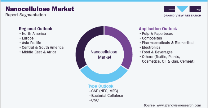 全球纳米纤维素市场细分