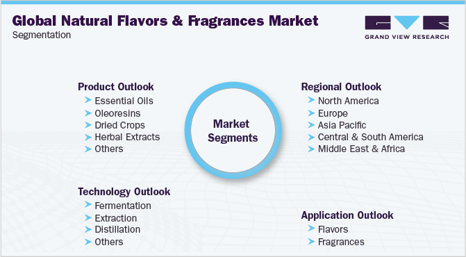 全球天然香料和香料市场细分