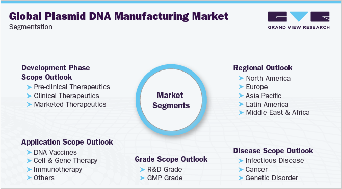 全球质粒DNA制造市场细分