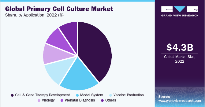 全球原代细胞培养市场份额，各细胞类型，2020年(%)
