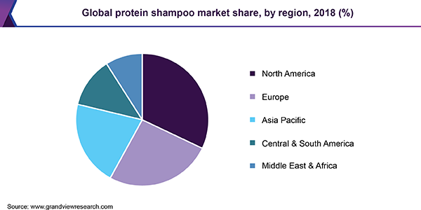全球蛋白质洗发水市场