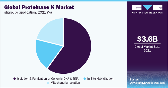 蛋白酶K全球市场份额