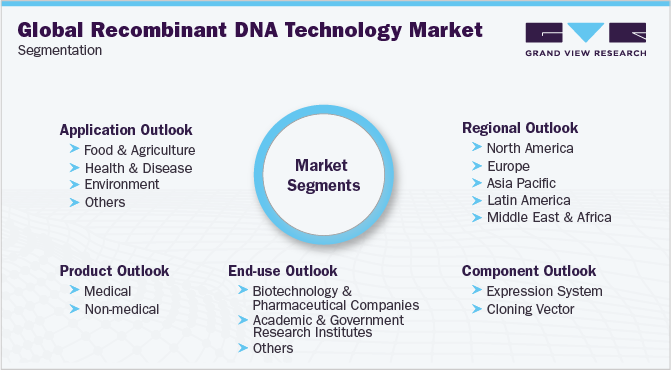 全球重组DNA技术市场细分