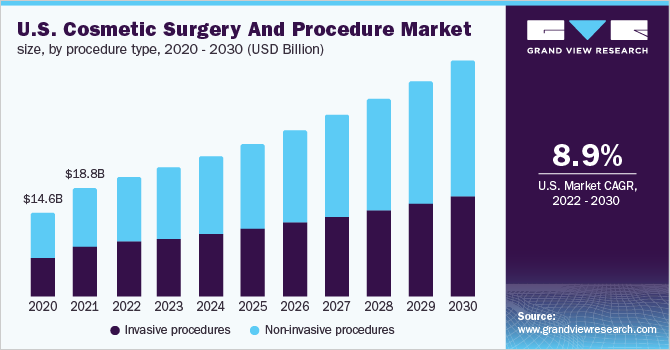 2020 - 2030年美国整容手术和程序市场规模，按程序类型分列(十亿乐鱼体育手机网站入口美元)