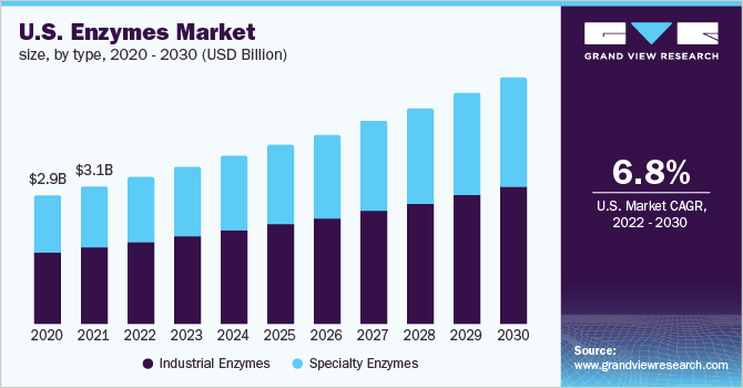 2020 - 2030年美乐鱼体育手机网站入口国酶类市场规模(10亿美元)
