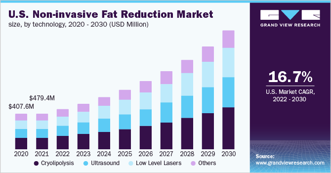 2020 - 2030年，美国非侵入式减脂技术市场规模(百万美元乐鱼体育手机网站入口)